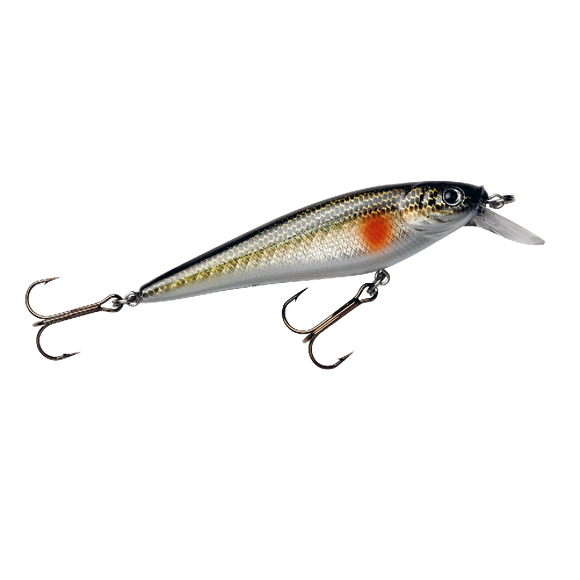Berkley Frenzy Shallow Divers 5' Crankbait Pesca Fresca 3 Colori